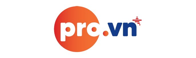 tên miền .pro.vn